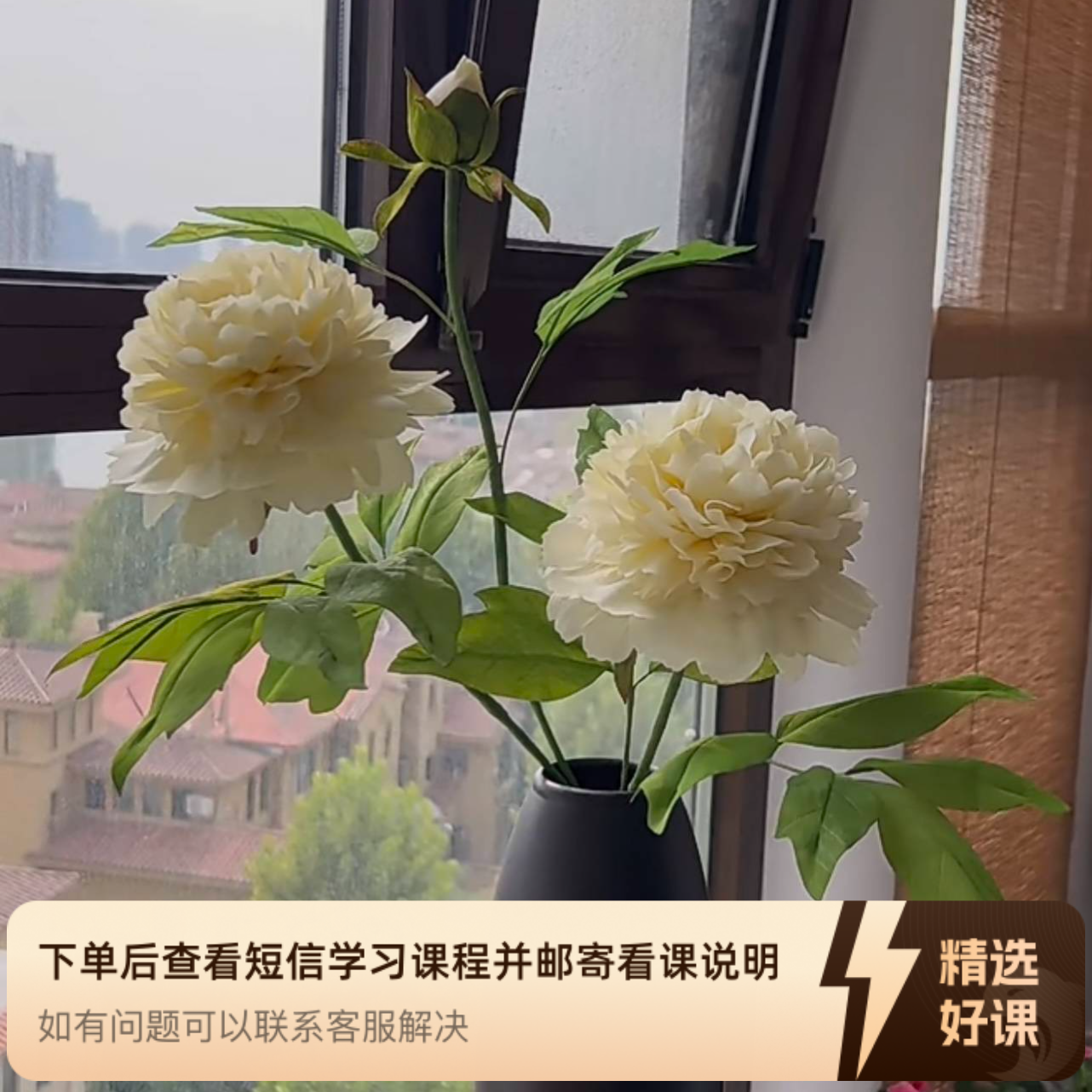 仿真赵粉牡丹视频教程（留意短信解锁课程）