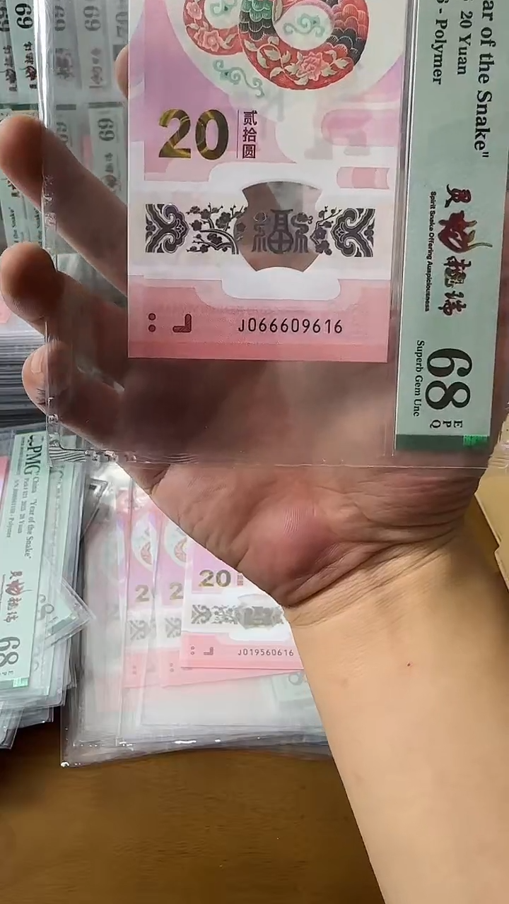 塑料066609616-蛇钞单张