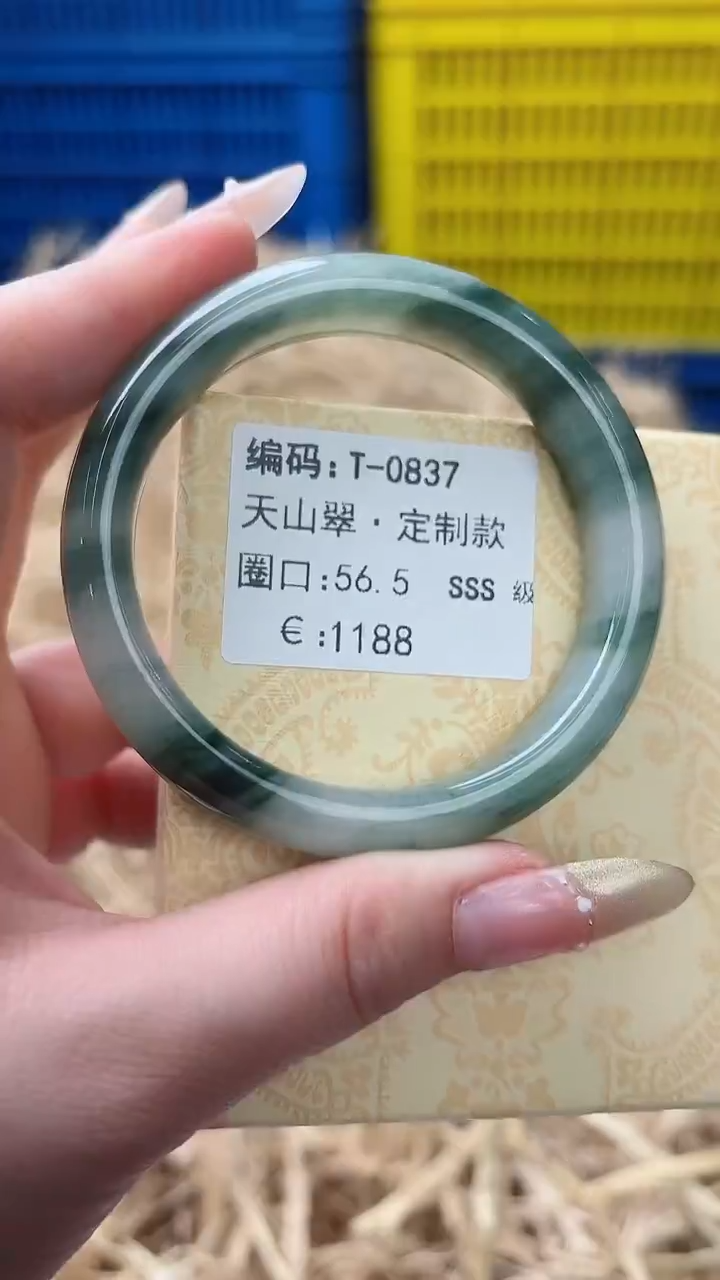 未镶嵌手镯石英质玉T-0837