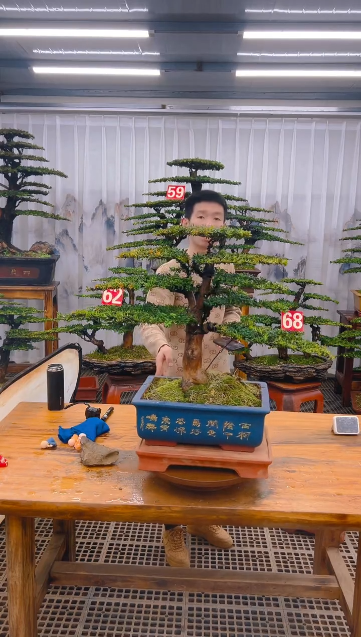 【闪购商品】紫砂精品盆景直播间一物一拍