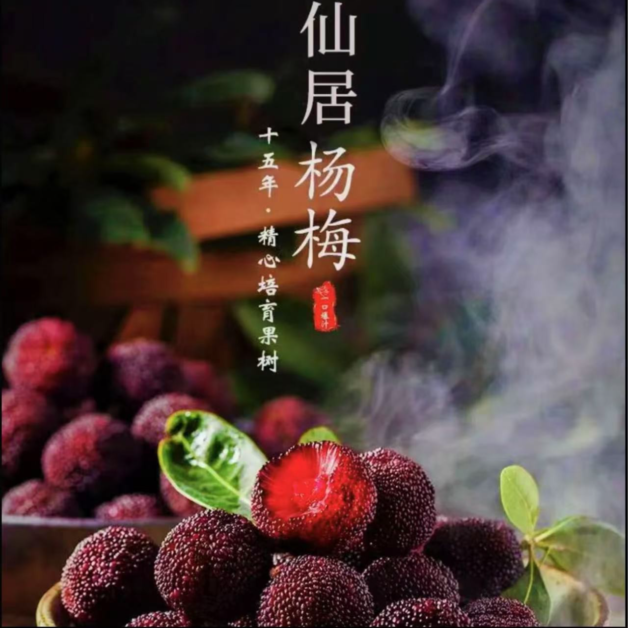 【顺丰空运】【正宗仙居东魁】9A精品大果15-25现摘现发仙居东魁杨梅