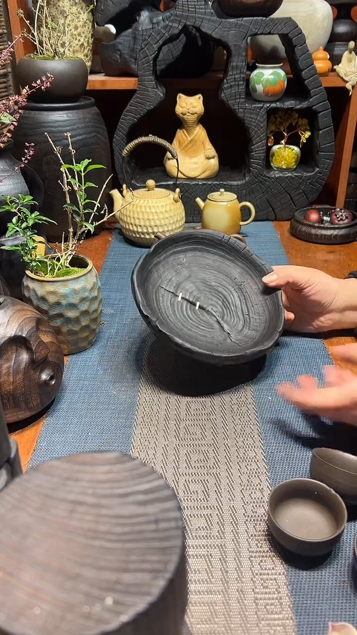 香樟木香樟木一物一拍