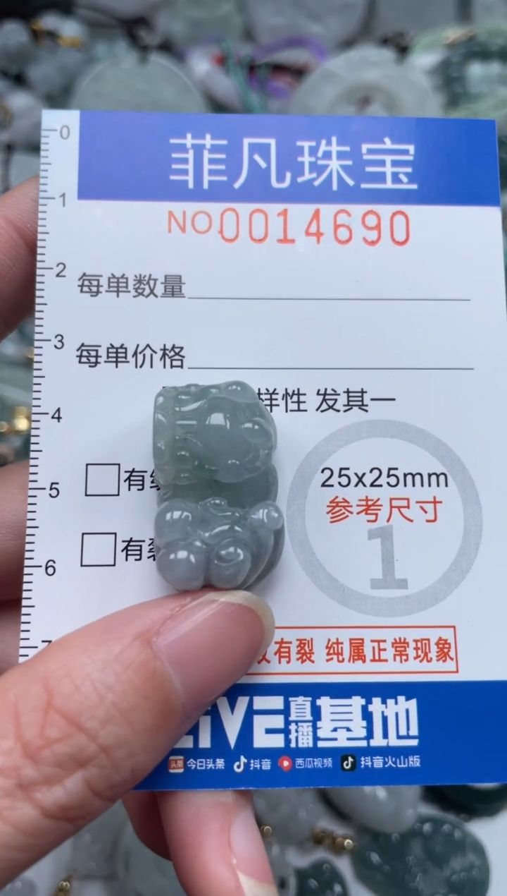 颈饰未镶嵌翡翠14690