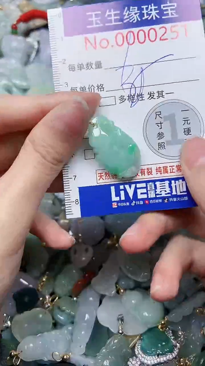 【闪购商品】翡翠颈饰未镶嵌闪购00000251