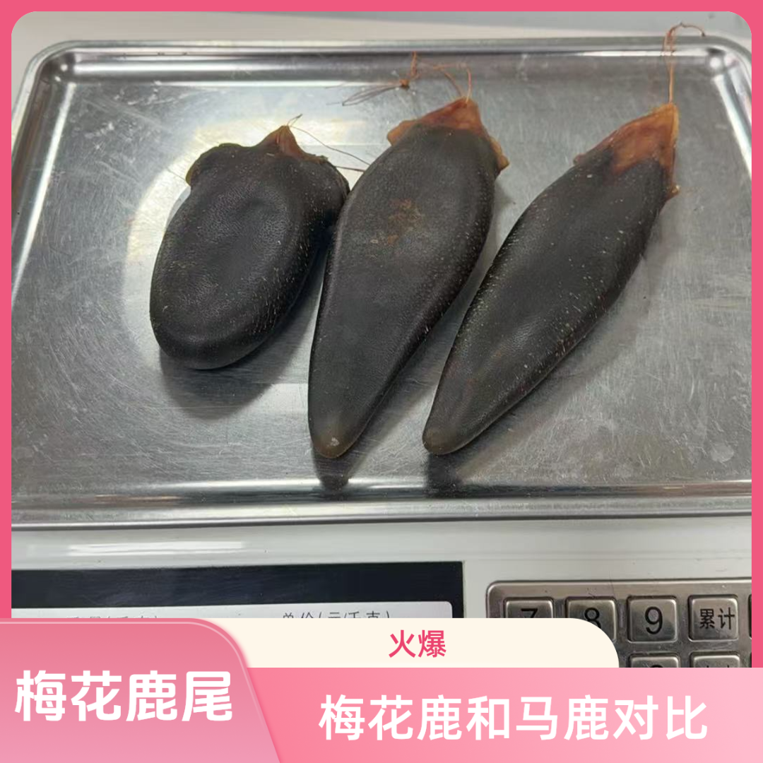 梅花鹿产地鹿尾，大小都有，按克出售