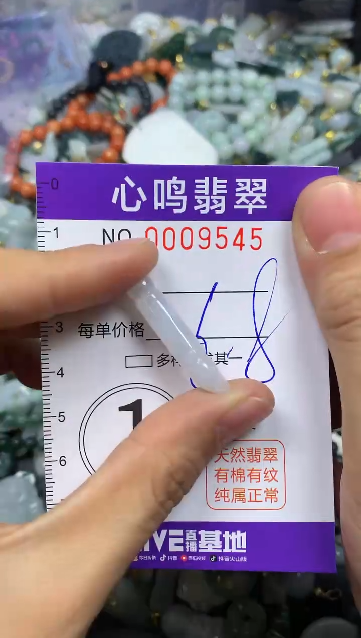 【闪购商品】翡翠颈饰未镶嵌闪购009545