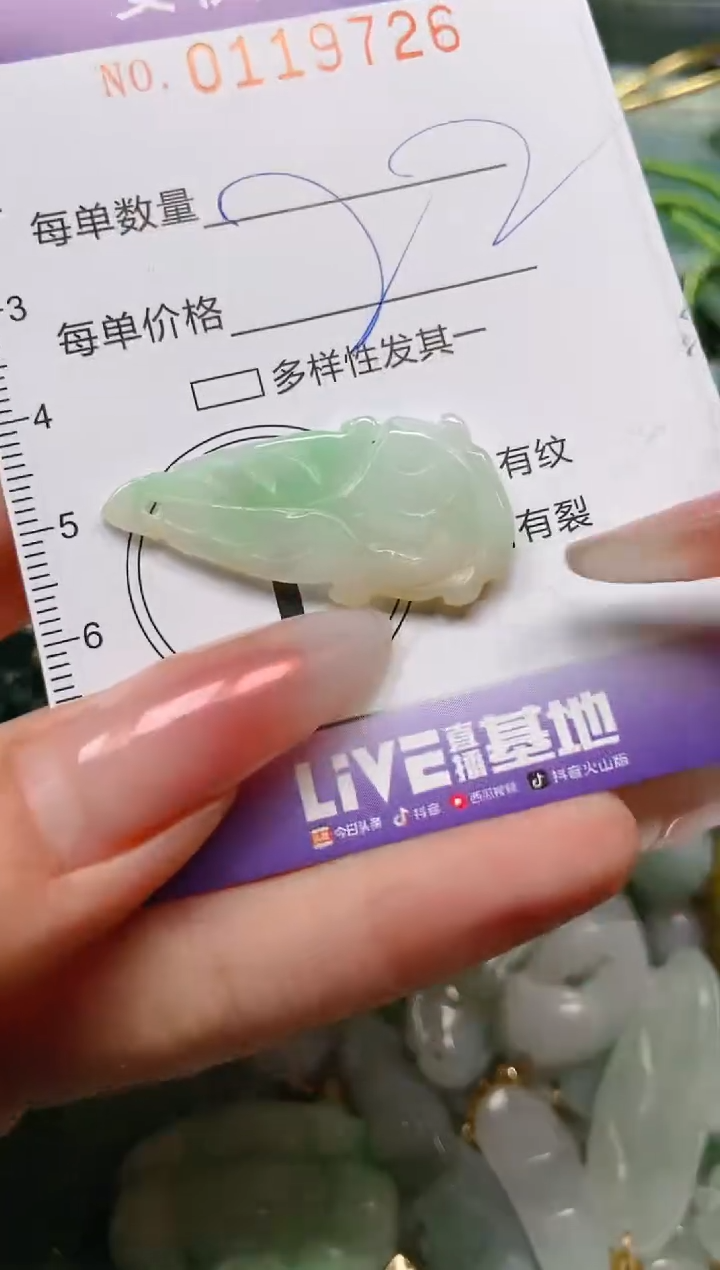 【闪购商品】翡翠颈饰未镶嵌闪购0119726