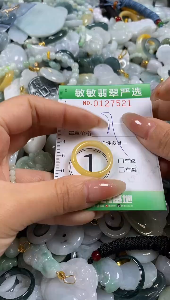 【闪购商品】翡翠颈饰未镶嵌闪购0127521