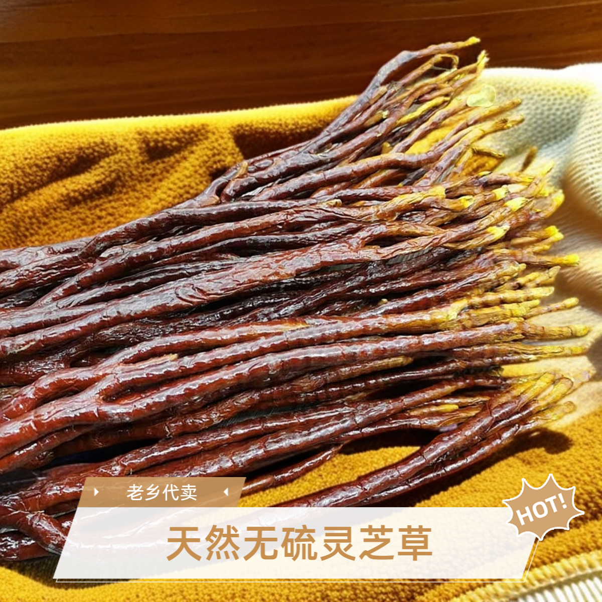 【老乡代卖】灵芝草整枝干货赤佛手灵芝鹿角灵芝泡酒煲汤滋补