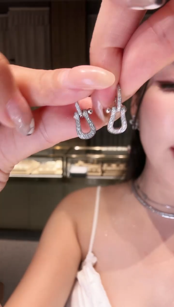 铂Pt950镶嵌耳饰钻石AY0212-PT