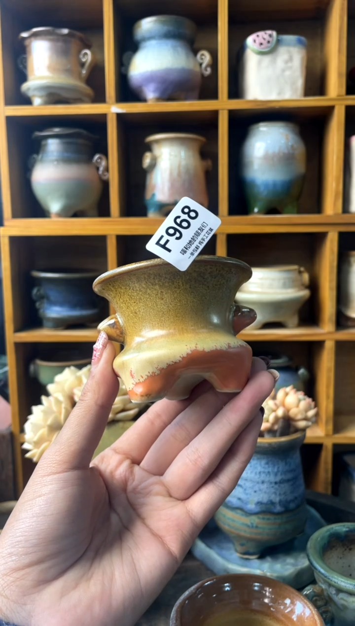 春***春968【多肉花盆多肉盆】1