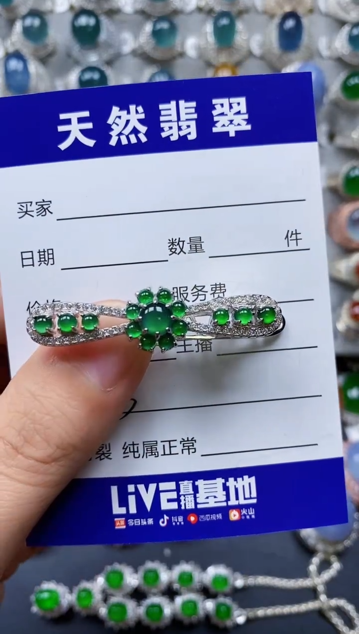 【闪购商品】翡翠颈饰银S925镶嵌0383