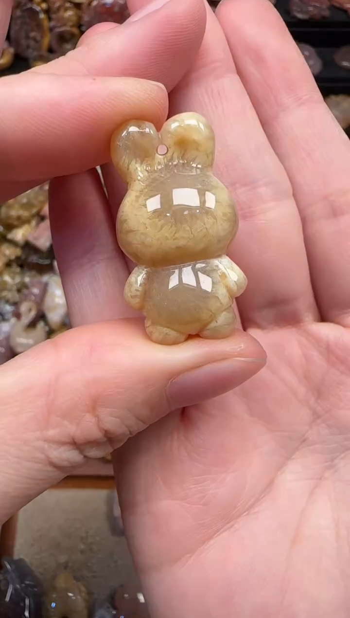 颈饰未镶嵌硅化珊瑚（珊瑚玉）546