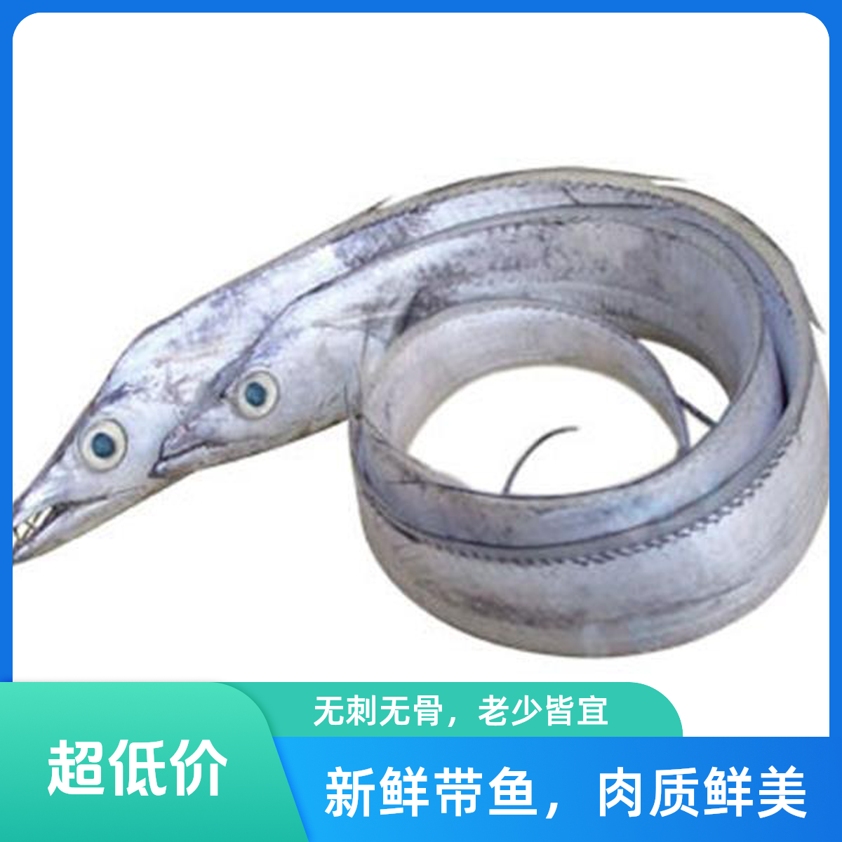 特大带鱼500g