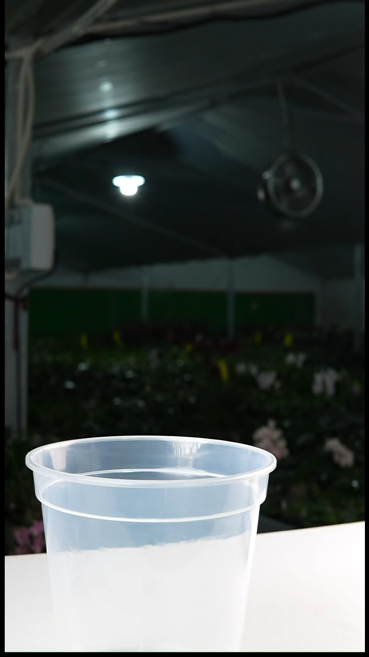 当前无花栽培后可以开花宽17高16（5个一组）