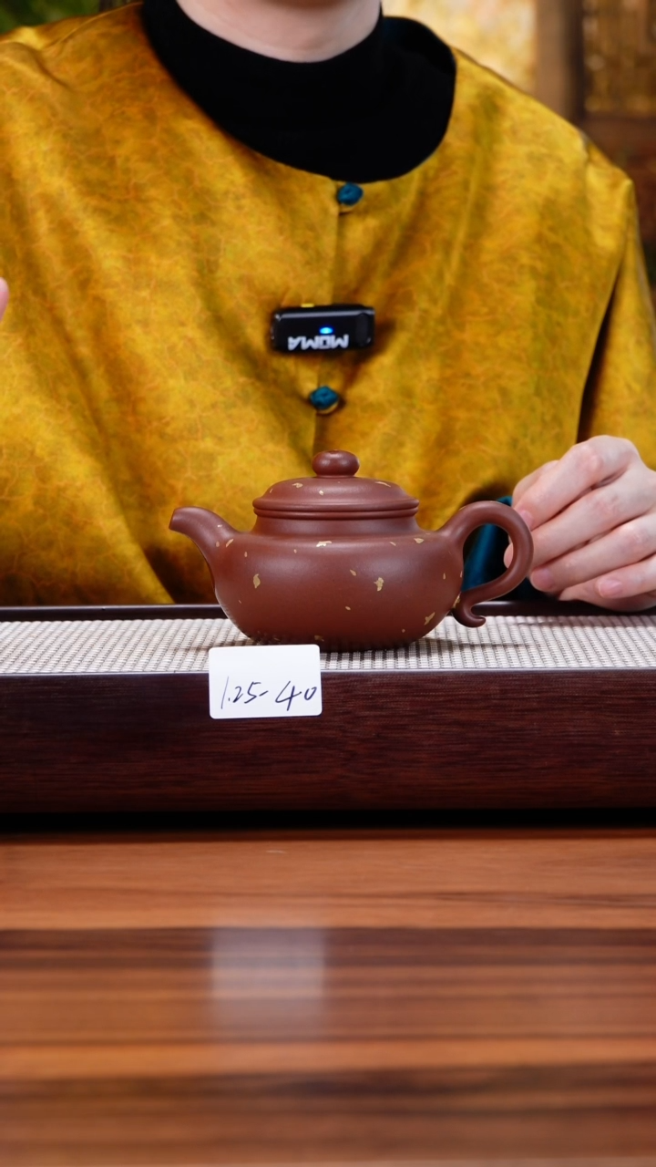【闪购商品】紫砂茶壶1.25-40 古法 底槽清洒金仿古