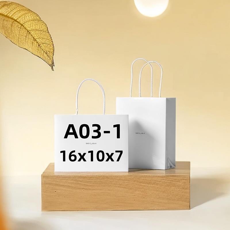 A03-1-新款高端时尚单肩手提百搭16CM枕头包M81085