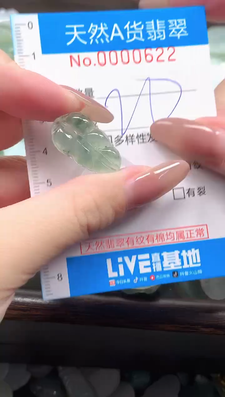颈饰未镶嵌翡翠净货挂件-0622