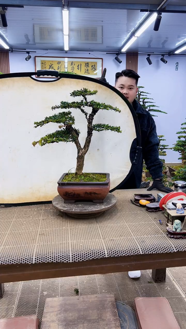 【闪购商品】000000000