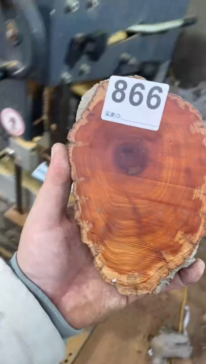 【闪购商品】柏木太行陈化崖柏切片