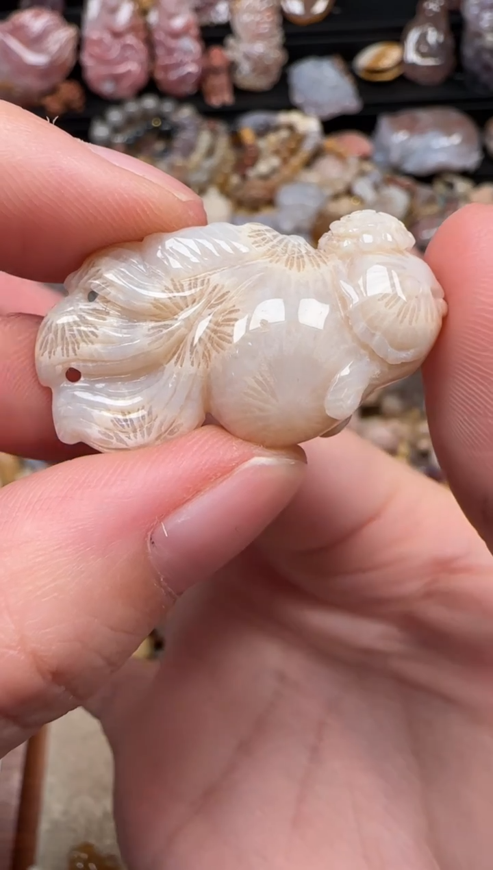 颈饰未镶嵌硅化珊瑚（珊瑚玉）624