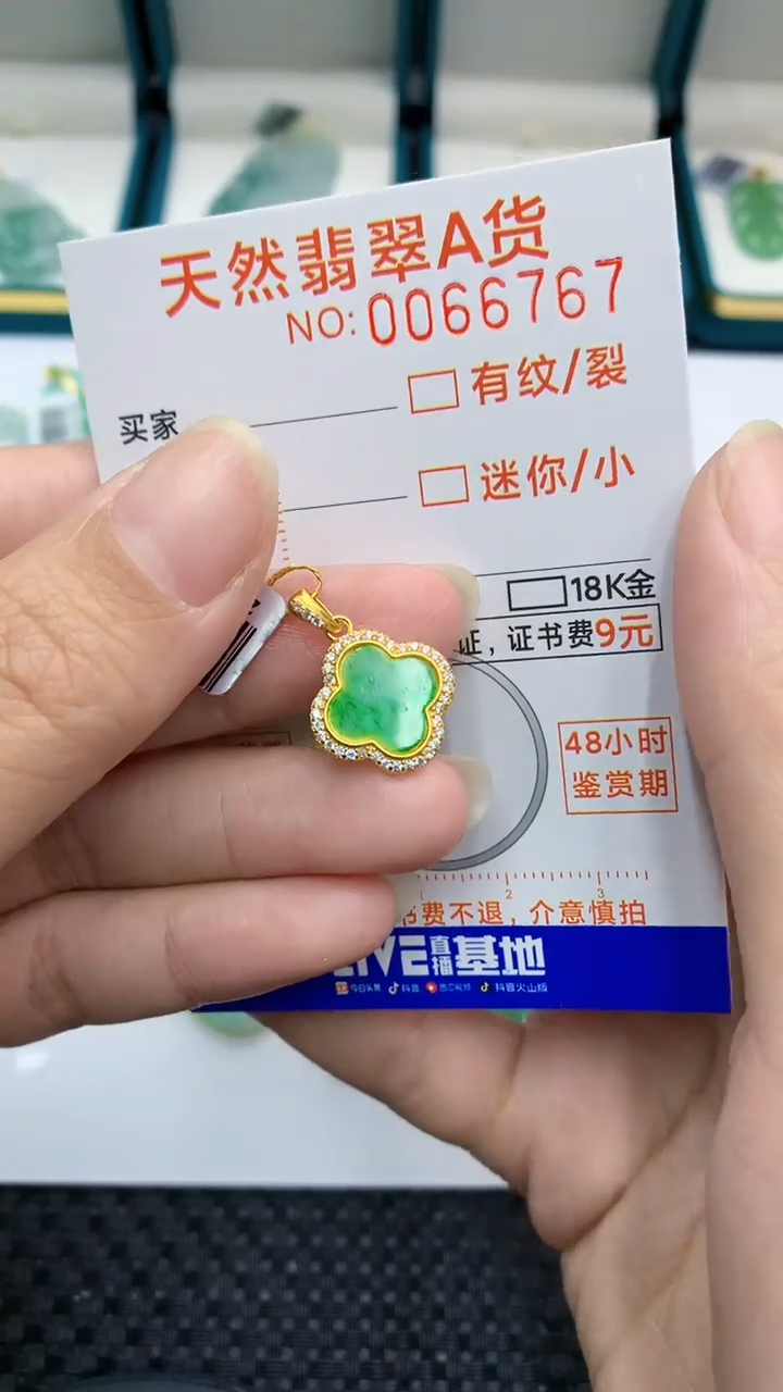 【闪购商品】翡翠颈饰银S925镶嵌            8