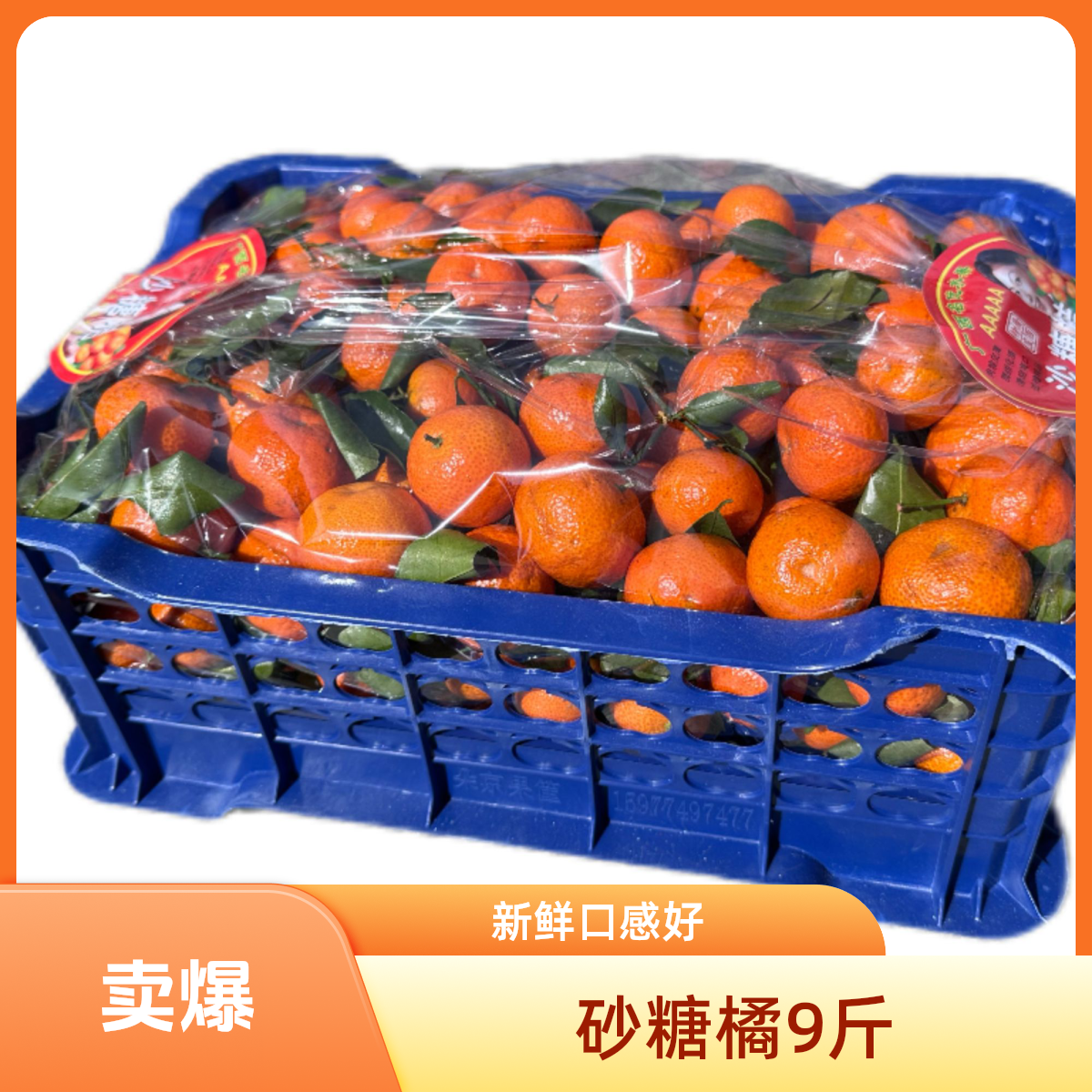 砂糖橘9斤（±0.5） 精美礼盒装 年货送礼 礼盒 水果礼盒 春节