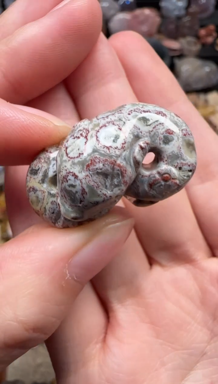 颈饰未镶嵌硅化珊瑚（珊瑚玉）355