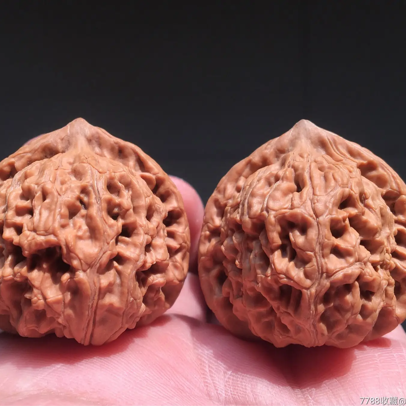 文玩核桃通用价格