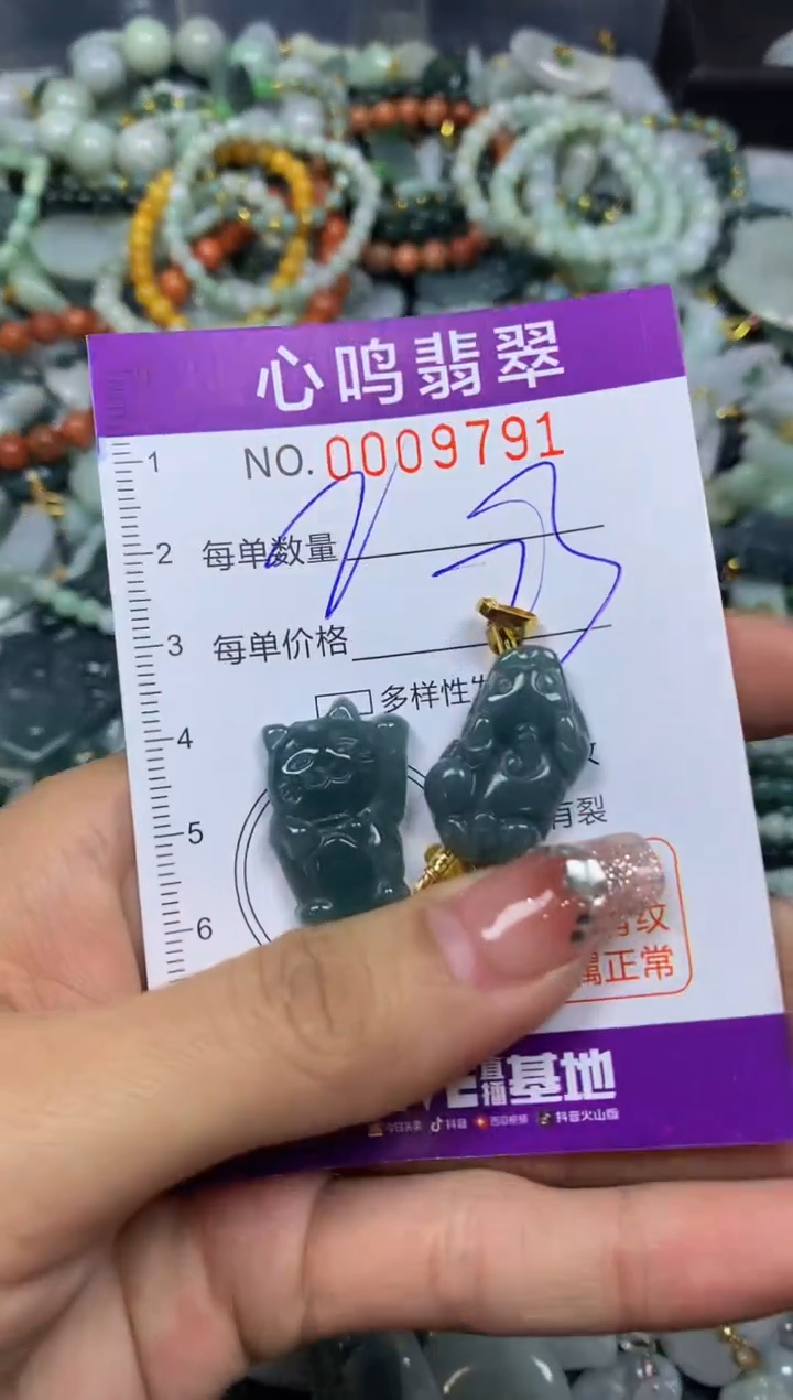 【闪购商品】翡翠颈饰未镶嵌闪购009791