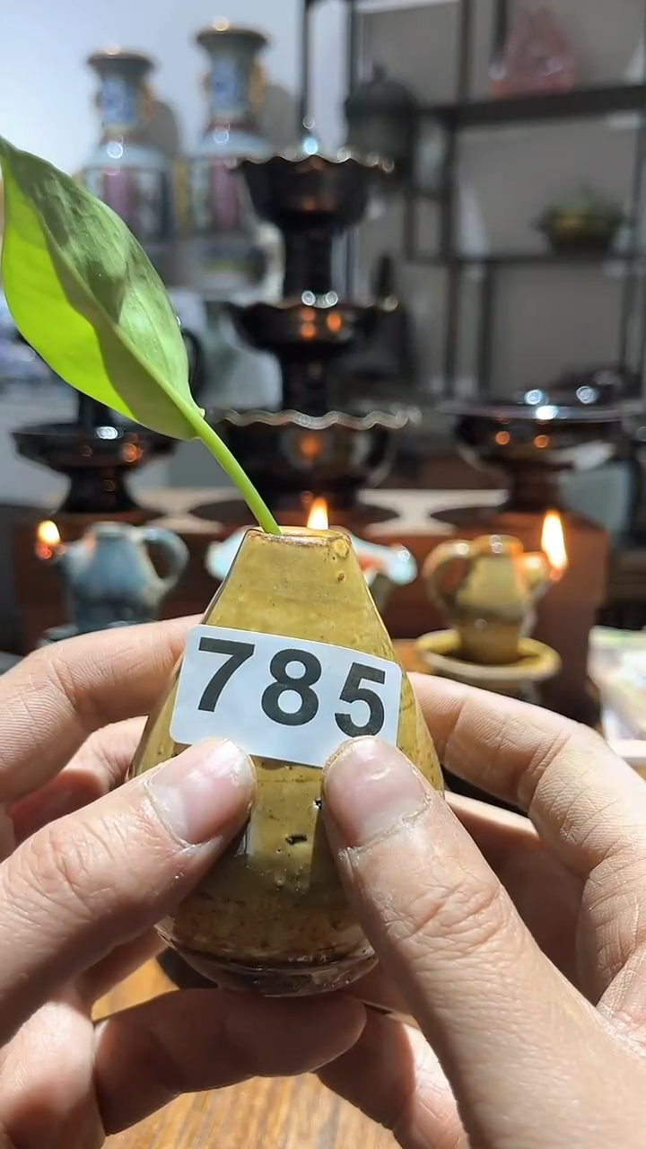 【闪购商品】摆件