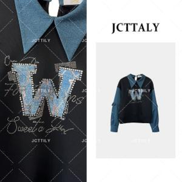 秋冬轻奢简约舒适感设计重工显瘦气质卫衣JT-A2020