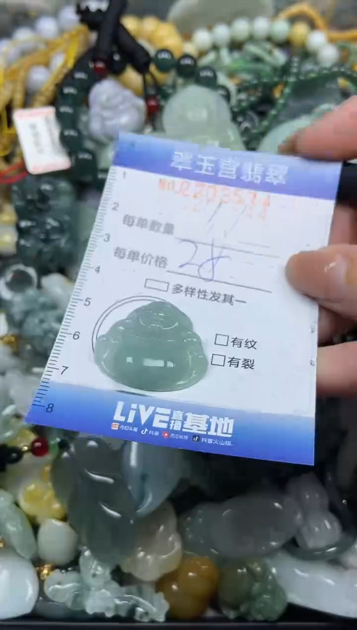 颈饰未镶嵌翡翠闪购C0253944