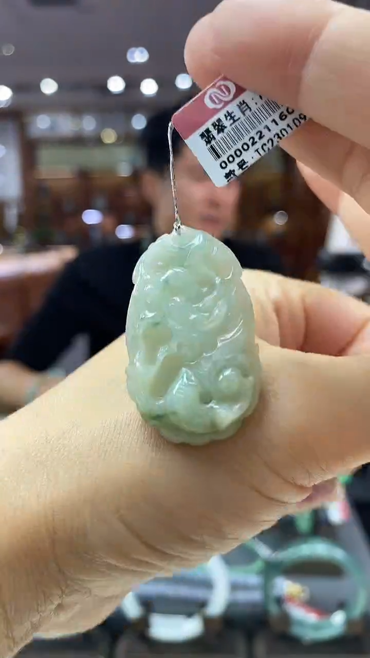 颈饰未镶嵌翡翠龙牌