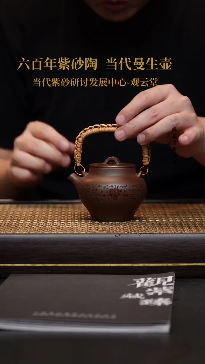 茶壶紫砂宜兴紫砂壶提梁