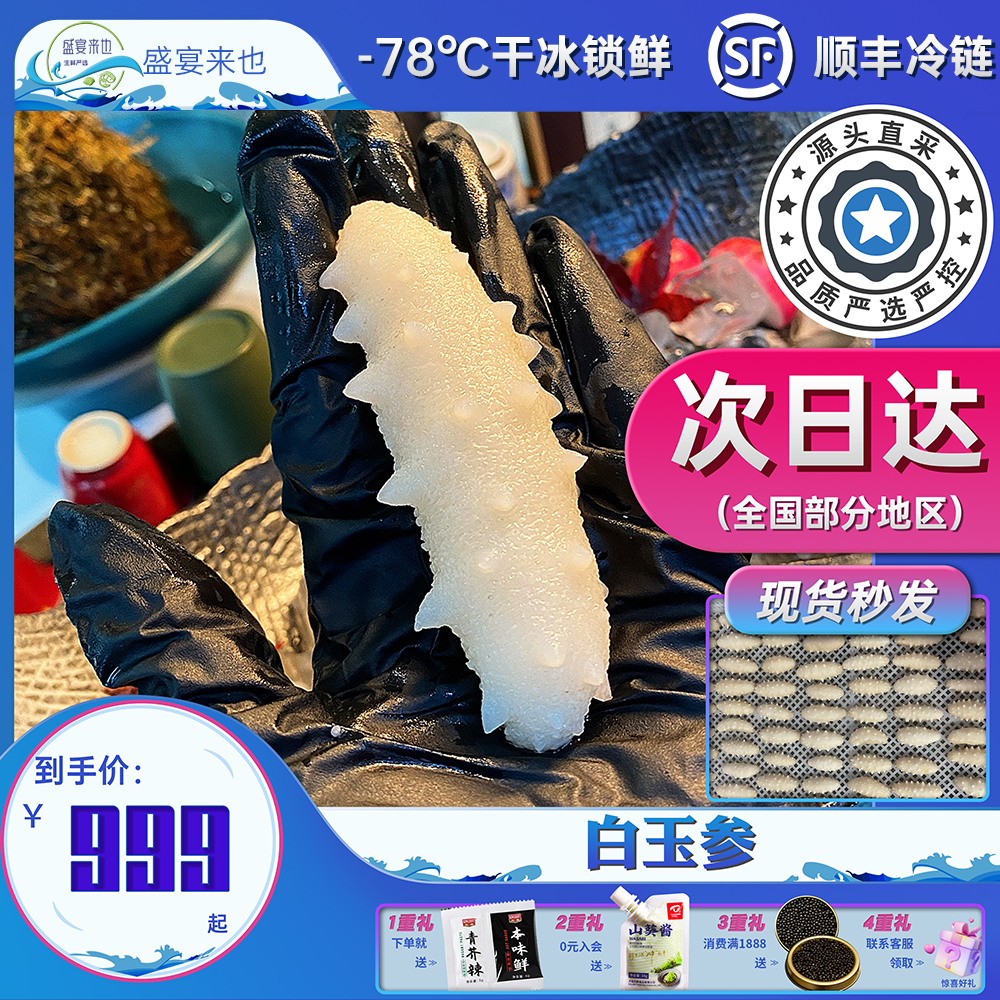 【盛宴来也】白玉参大连即食海参滋补鲜蒸辽刺参开袋即食健康食品