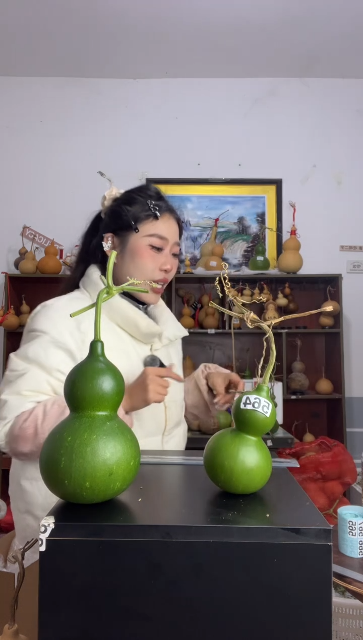 564天然葫芦摆件 一物一拍龙头不保售后