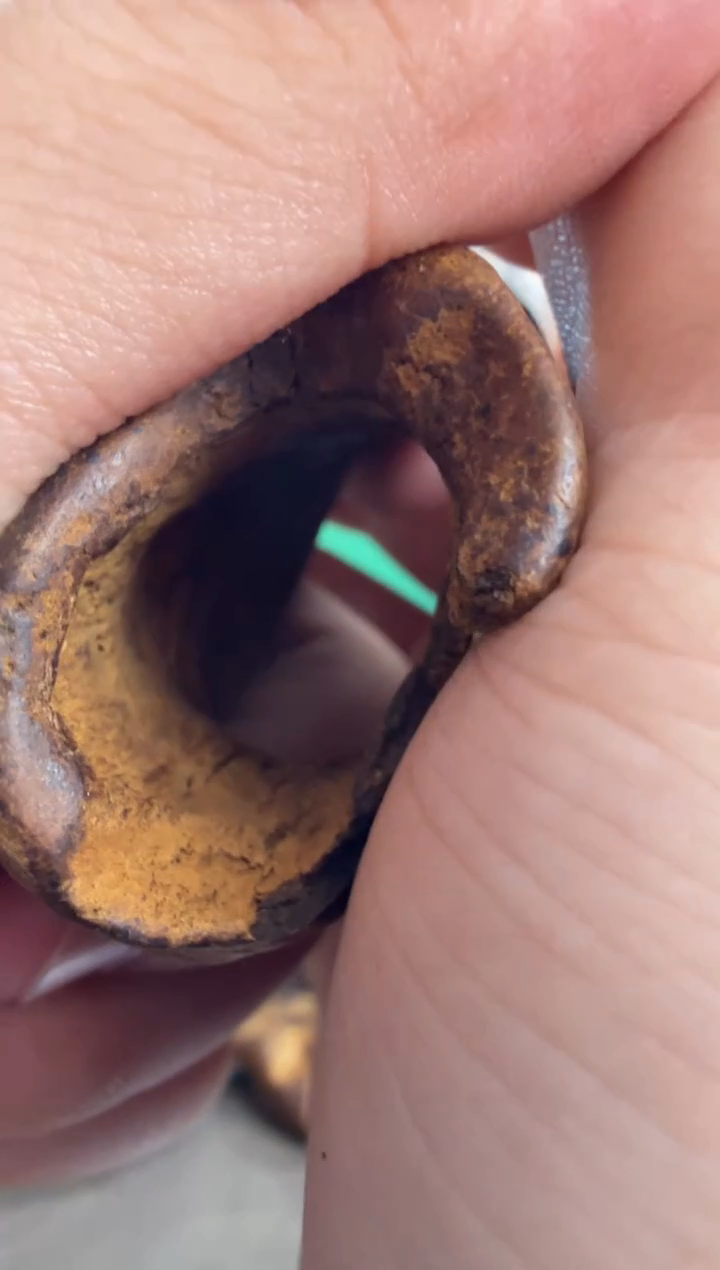 吊坠沉香文莱多样性发一