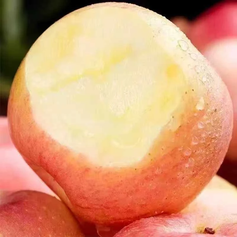 陕西红富士苹果冰糖心脆甜多汁新鲜当季水果