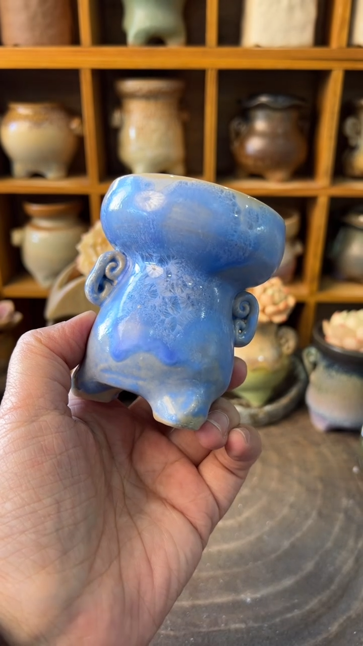 387【多肉花盆多肉盆】