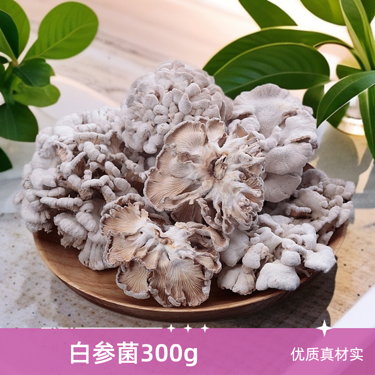白参菌 300g