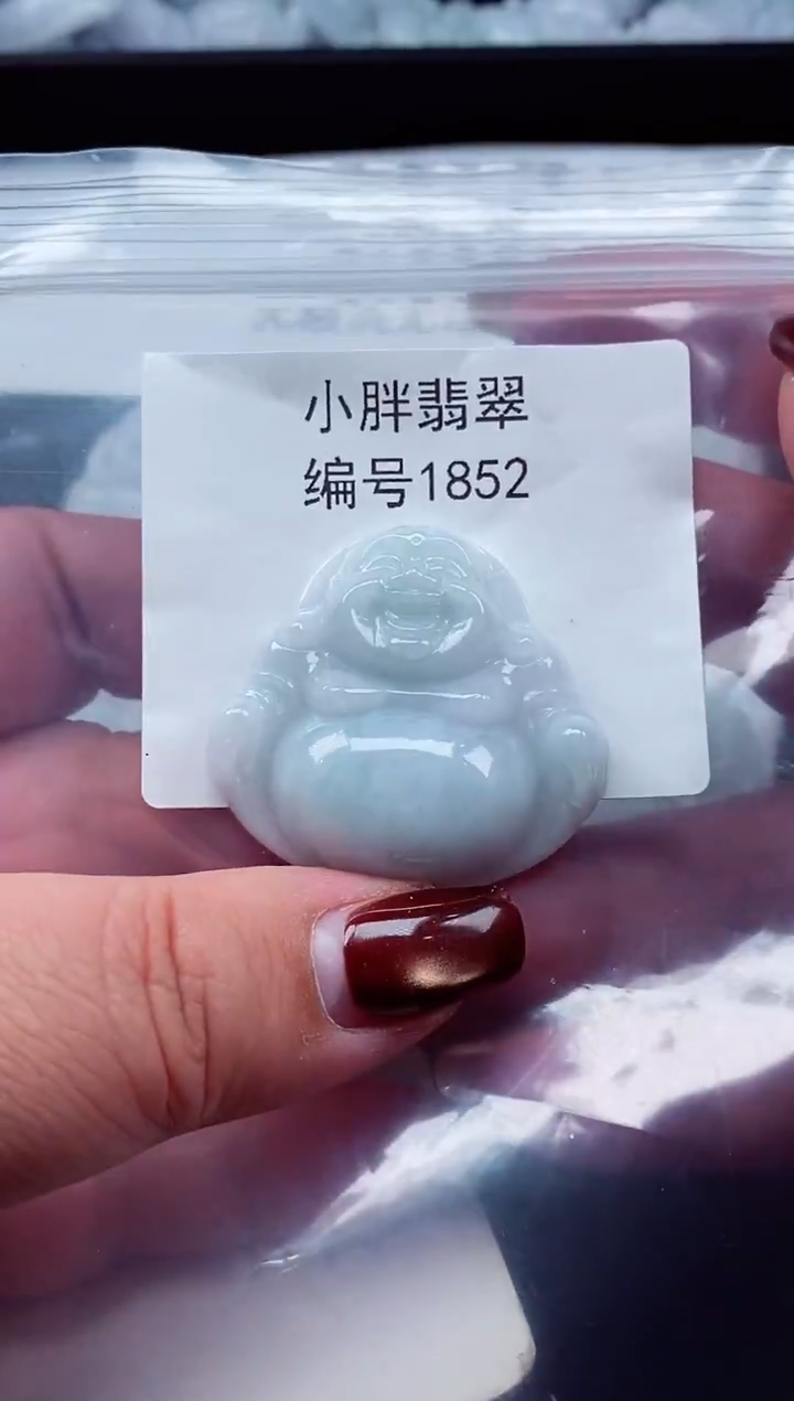 颈饰未镶嵌翡翠缅甸天然A货翡翠1852