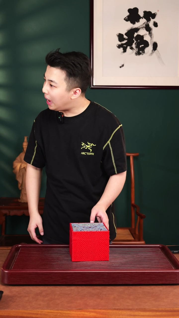 茶壶紫砂潘子茶器16561半手