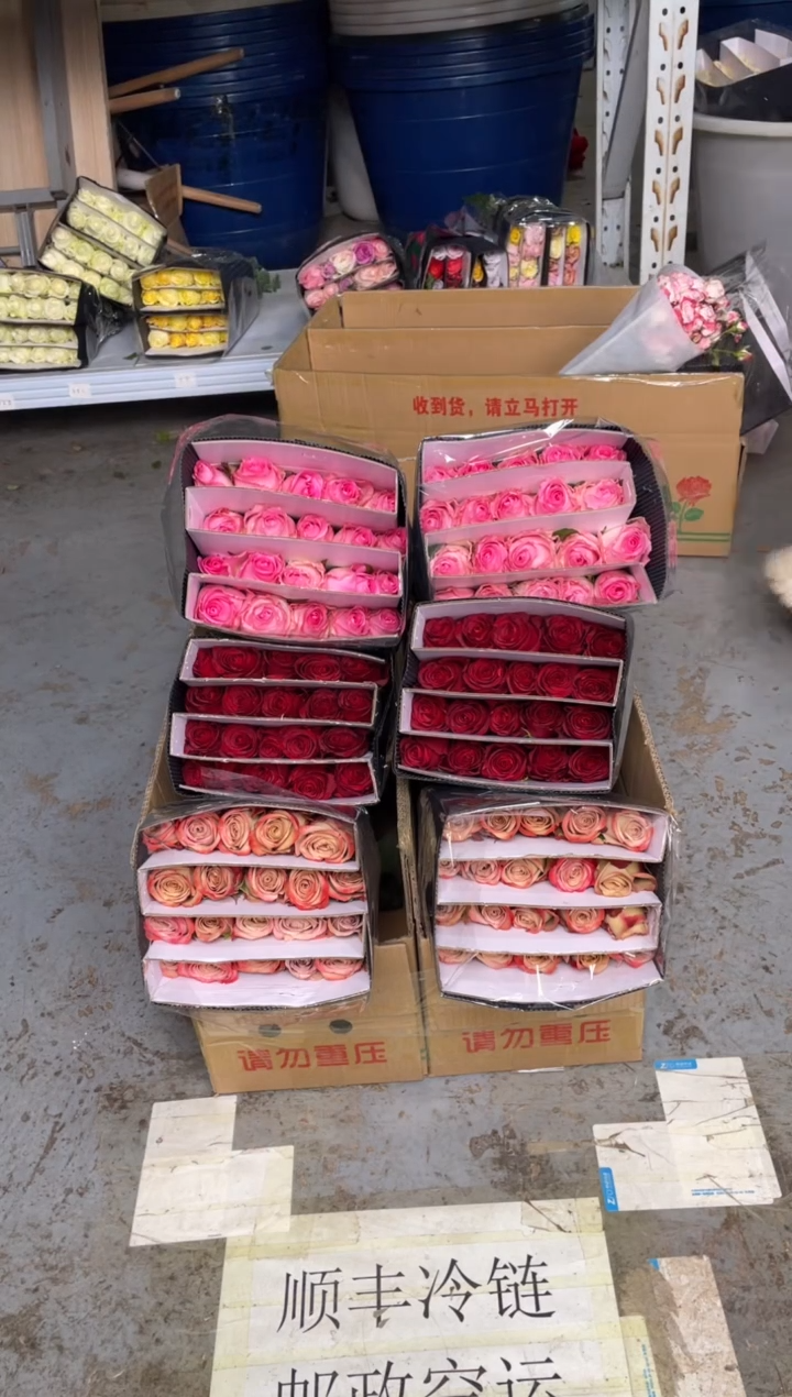 高原红20枝+卡布20枝+洛神20枝