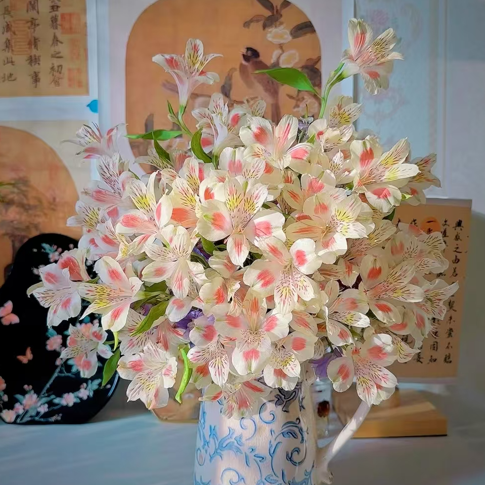 【一品花集】稀有新品【猫爪】水仙百合10支