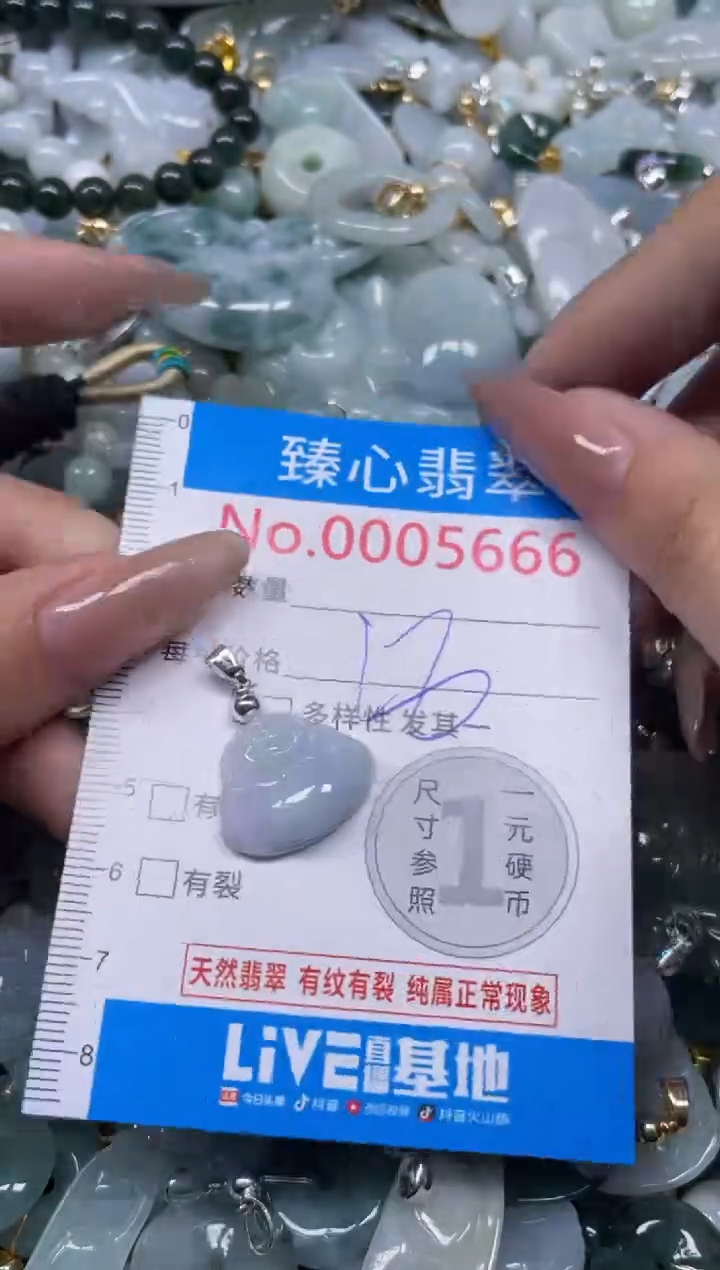 颈饰未镶嵌翡翠5666