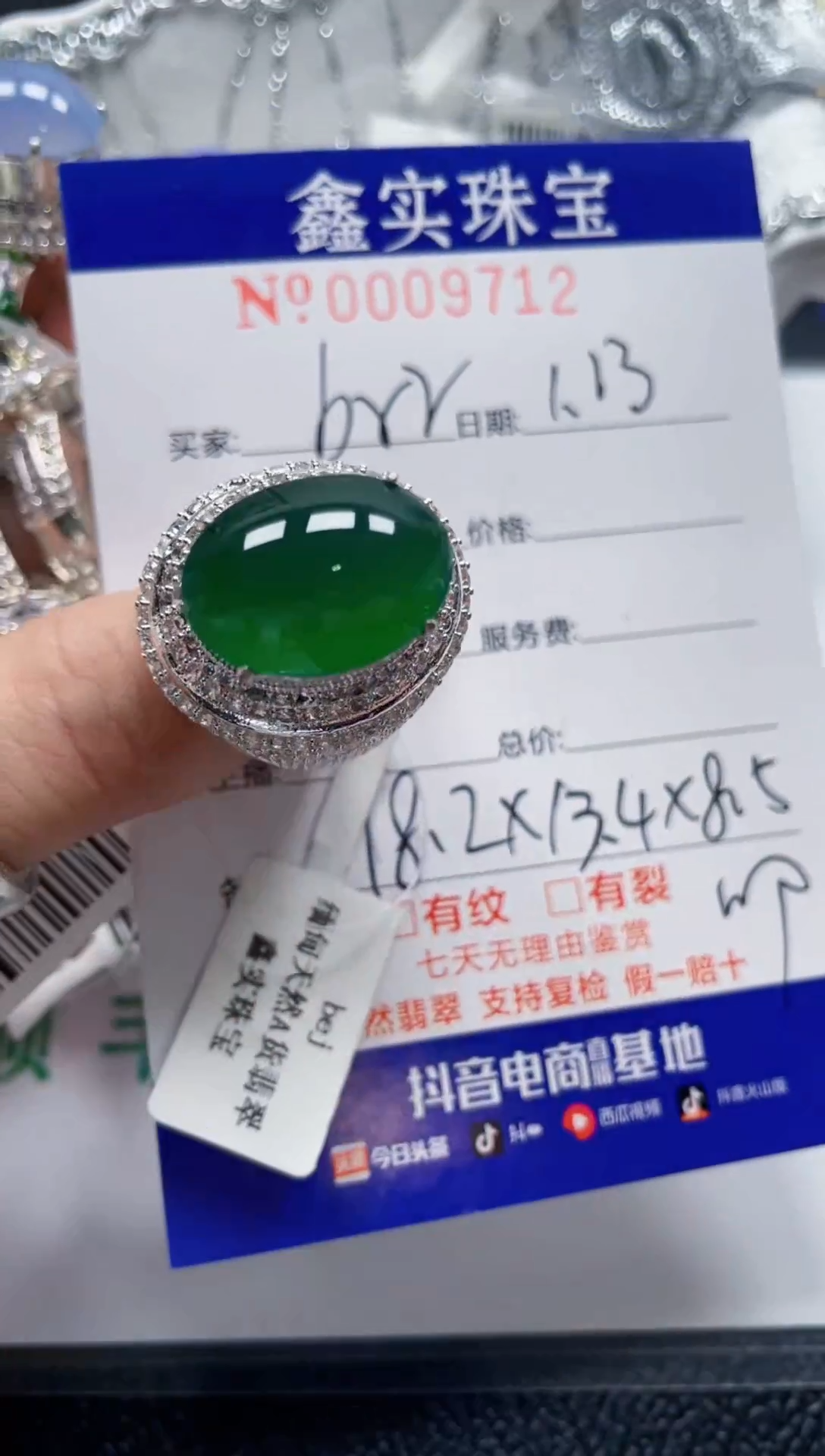 【闪购商品】翡翠颈饰未镶嵌/97120000