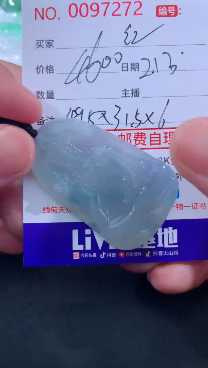 【闪购商品】翡翠颈饰未镶嵌紅