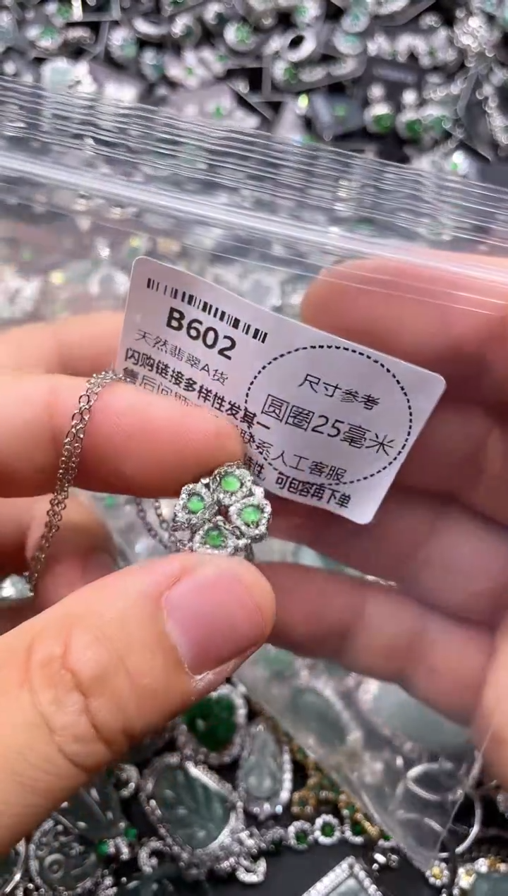 翡翠未镶嵌颈饰B602项链