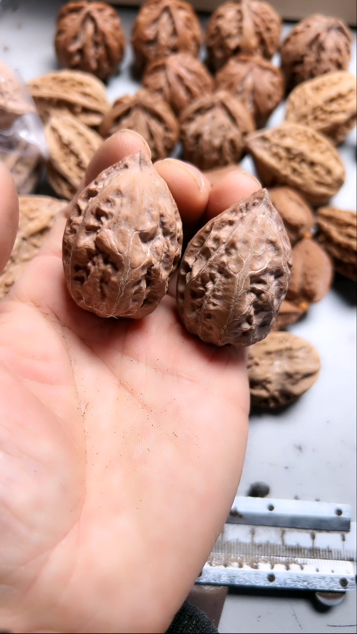 核桃东北野生大秋子8